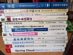 技術(shù)資產(chǎn)的雙重流通 論IT技術(shù)圖書與技術(shù)轉(zhuǎn)讓的協(xié)同價值